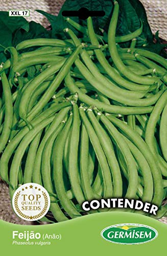 Germisem Contender Semillas de Frijol Francés 100 g