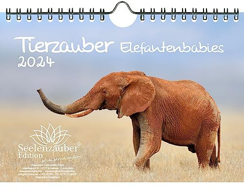 Tierzauber Elefantenbabies DIN A5 Wandkalender für 2024 Elefanten Babys - Geschenkset Inhalt: 1x Kalender, 1x Weihnachtskarte (insgesamt 2 Teile)