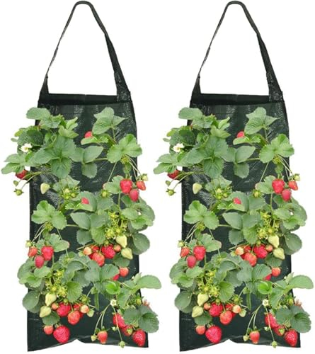 MisFun 2 Pezzi Vaso per Fragole, Appendere Sacco per Piantare, Borsa per Piantare con 8 Fori, Sacco per Piantare Patate, per Coltivazione Piantare Verdure Fiori Fragole a Casa Giardino Balcone
