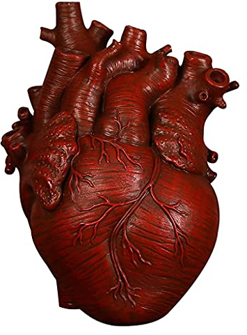 Tubayia Herz Statuen Vase Anatomisches Blumentopf Blumenvase Pflanzer für Wohnzimmer TV Schrank Schlafzimmer (Rot 13x9x17cm)