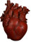 Tubayia Herz Statuen Vase Anatomisches Blumentopf Blumenvase Pflanzer für Wohnzimmer TV Schrank Schlafzimmer (Rot 13x9x17cm)
