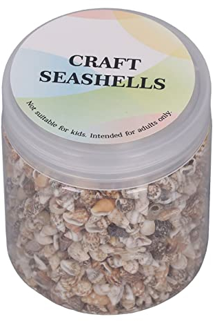 Pssopp Tiny Conch Seashells 1 Can Tiny Sea Shells Ocean Beach Spiral Seashells Craft Charms for Candle Making Home Decoration Beach Theme Party Wedding Decor