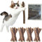 KLLJ Bastoncini di Erba Gatta,40 pezzi,Matatabi Silvervine per Gatti,Bastoncini da Masticare per Gatto,Erba Gatta Secca Per Gatti Pronta,Bastoncini Da Masticare,Silvervine Pulizia Denti Per Gatti