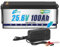 HRBEENERGY Batterie LiFePO4 24V 100AH 1Pack, BMS 100A intégré et cellules de qualité A,Batterie rechargeable24V au lithium phosphate de fer, 4000-15000 cycles，pour solaire, moteur de pêche à la traîne