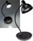 Lampe de table 3x pile AA 25cm col de cygne dimmable lampe de lecture LED blanc chaud 3000k noir