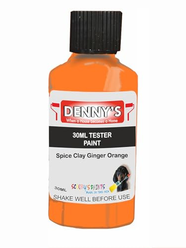 Premium Interior Wall & Ceiling Emulsion Paint – Spice Clay Ginger Orange – Rich Matt Finish, Durable & Washable, Low Odour, Ideal for Living Rooms, Bedrooms & Hallways (30ML Tester Bottle)