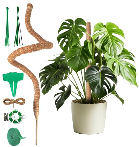 120 cm Monstera Rankhilfe – extra Stabiler Kokosstab mit Zubehör | ideal für gesundes Wachstum aller Kletterpflanzen im Wohnbereich
