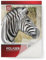 Netuno Folaser 10 Blatt DIN A3 420x 297 mm transparente Klebefolie bedruckbar für Laserdrucker Kopierer matt Sticker-Folie selbstklebend Folienaufkleber selbst ausdrucken Kopierfolie matt