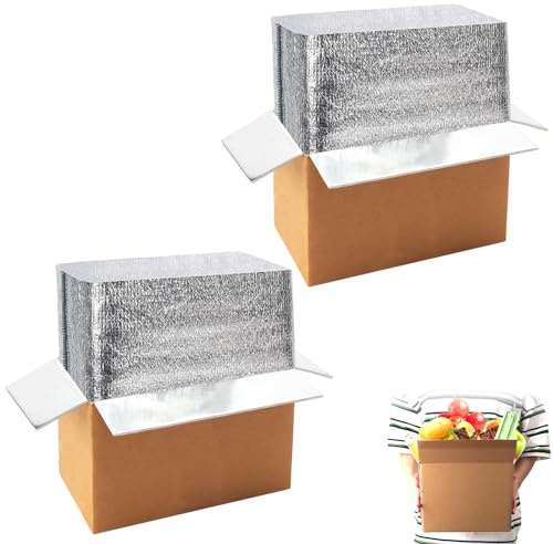 2 Pack Thermo Chill Double Insulated Shipping Box with Aluminum Foil Insulated Bag Liner, Reusable Hot & Frozen Food Delivery Insulated Carton for Shipping, Mailing, Packing, Moving, 9.8x5.8x7.5 Inch
