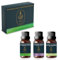 Aroma Haven Essential Oils Diffuser Oil Set 3 x 10ml Aromatherapy, 100% Pure & Natural Lavender, Tea Tree, Eucalyptus Oils Diffusers for Home Scents, Fragrance for Soap and Candle, Wax Oil Burner