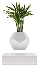 FLYTE Lyfe Pot en Levitation (Blanc/Blanche) 18667
