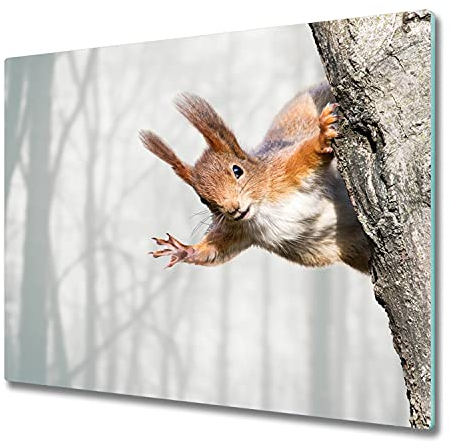 Tulup Planche À Découper Protection Plaque 60x52cm Couvercle Cuisinière à Induction Panneau de Protection Verre Trempé Cuisine - Écureuil