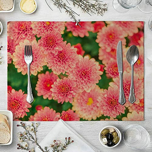 Ayoiow Tischset 8er Abwaschbar, Tischmatte Stoff 32x42cm Schöne blühende BlumePlatzset für Glastisch