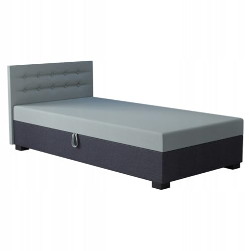 TAPCZANY24 - Boxspringbett Olaf 120x200 cm mit Schaumstoff Matratze | Bett mit Matratze, Polsterbett mit Bettkasten, Gepolstertes Einzel Bett, Schlafsofa - Minze mit Graphit