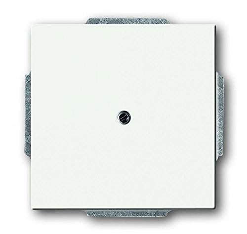 Busch-Jaeger 1742-884 Blindzentralscheibe mit Tragring Studioweiß Matt Plattform 63 2CKA001710A3873