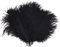 10Pcs Straußenfedern 12-14Inch (30-35cm) Für Haus Hochzeitsdekoration bietet (Schwarz)