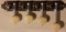 GOTOH MF de 40 Mandolina Clavijas mm para F de mandolina níquel