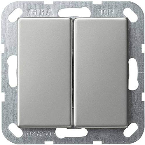 Gira 0125600 Tastserienschalter System 55 mit Wippe 2-Fach aus Edelstahl