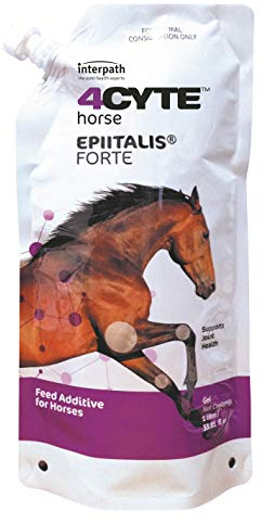 4CYTE Epiitalis Forte Gel for Horses 1litre