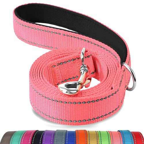 Joytale Padded Handle Dog Lead for Small & Medium Dogs, 1.2m x 2cm | Heavy Duty Nylon Webbing, Double-Sided Reflective for Night Visibility, Poop Bag Ring, for Training & Walking, Neon Pink