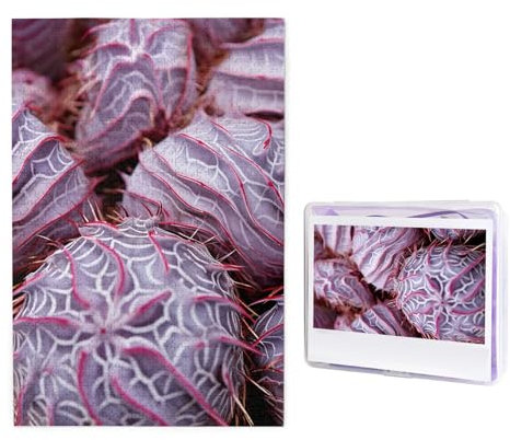 Puzzle mit 1000 Teilen – Gestreiftes Harz-Bilderpuzzles für Erwachsene, anspruchsvolles Puzzle, personalisiertes Holzpuzzle, Fotopuzzle, Geschenke, 74,9 x 50 cm