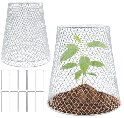Viceda Chicken Wire Cloche, 3Pcs Metal Garden Cages, Plant Protectors, Outdoor Animal Deterrents, Sturdy Cloches for Vegetables, Fruits, Flowers, Garden Protection with 10 U-Shaped Garden Stakes