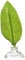 Zoo Med Betta Bed Hamac Form Feuille pour Aquariophilie