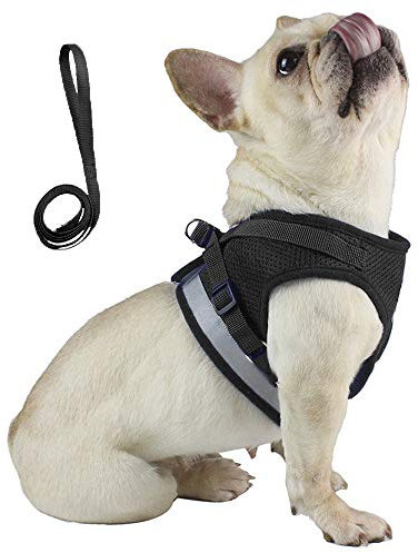 Anlitent Soft Mesh No Pull Cat Harness and Lead Set for Walking, Escape Proof Kitten Vest Harnesses for Small Dogs/Cats/Animals Rabbit, Cool Cat Dog Collar with Leash (Black, Large)