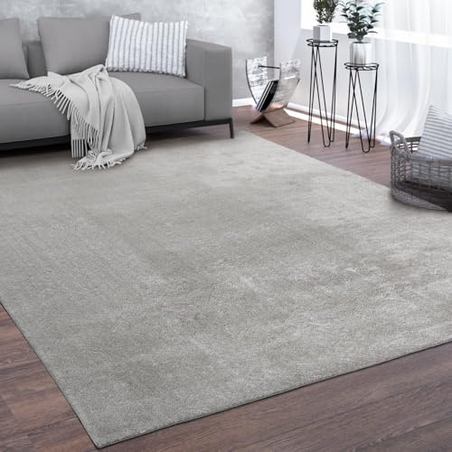 KADIMA DESIGN Teppich Kurzflor waschbar Unifarben Wohnzimmer schmutzabweisend Silber Rechteckig 300x400 100% Polyester Florhöhe: 10 mm pflegeleicht
