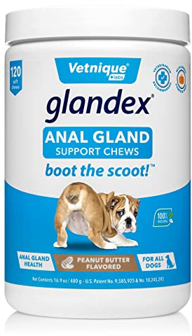 Glandex Fibre Supplements Dog Soft Chews with Pumpkin for Dogs, Digestive Enzyme & Probiotic - Vet Recommended to Boot the Scoot (120ct Chew)