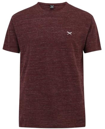 IRIEDAILY T-Shirt Herren - Chamisso Tee