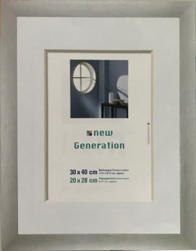 OSLO MasterLine Bilderrahmen 30 x40 silber matt Aluminium gebürstet 3 cm breit mit Echt-Glas