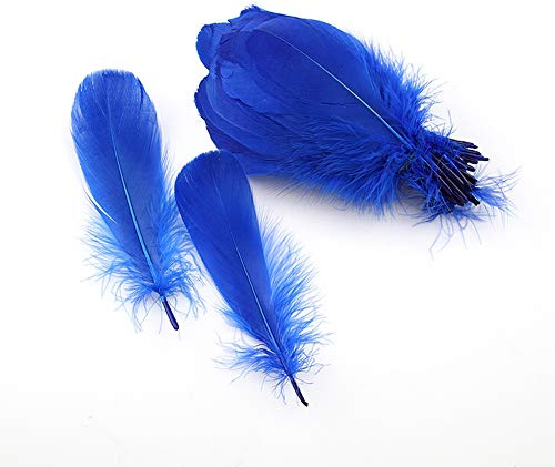 Sowder Natural Goose Feathers Clothing Accessories Pack of 100(Royal Blue)