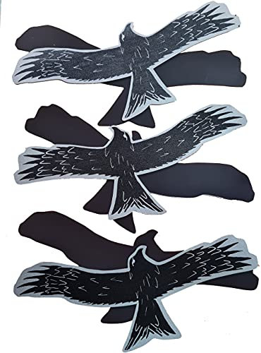 FlyEx 3X Greifvogel Adler Magnete anstatt Aufkleber für Fliegengitter Insektenschutz Reparatur-Set Vogelschlag Netze Türen Fenster Schiebetüren (3X Greifvogel)