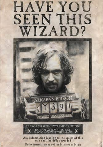 empireposter Harry Potter - Poster - Sirius Black