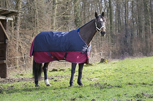 Pferdedecke Outdoor Decke Equitheme TYREX 1200 Denier Nylon Innenfutter, wasserdicht, atmungsaktiv, Kreuzgurte usw. 135 cm