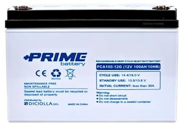 Batteria Solare AGM 100Ah 12V Deep Cycle Veicoli Elettrici Impianti fotovoltaici