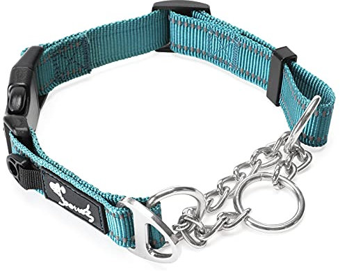 PETTOM Hundehalsband Zugstopp, Halsband Hunde Martingal mit Sicherheitsschloss Verstellbar und Reflektierend für Große Mittlere und Kleine Hunde