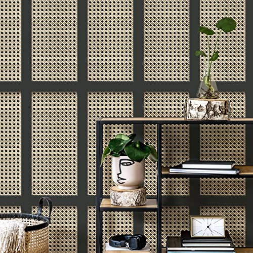 Papier Peint Cannage Panneau Beige/Noir - Fine Decor FD42998