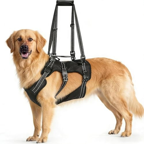 BENCMATE 2-in-1 Hundegeschirr abnehmbare Hebeschlinge Hebegeschirr alte Hunde Reha OP verstellbares Brustgeschirr große Hunde bis 45 kg atmungsaktiv reflektierende Nähte Schwarz M
