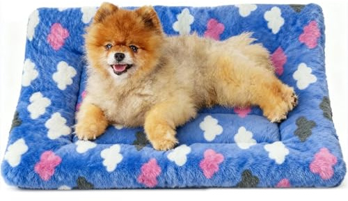 Yuqilin Hundedecke Flauschig Flanell Katzendecke Katzen Hundedecken | Waschbar Katzenbett 70 x 50 cm Hunde Decke Hund Doppellagig Katzen Decke Kuscheldecke Katze für Böden Sofas Betten