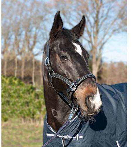 HKM Soft Lederhalfter Schwarz Warmblut