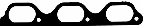 Reinz 71-42138-00 Dana