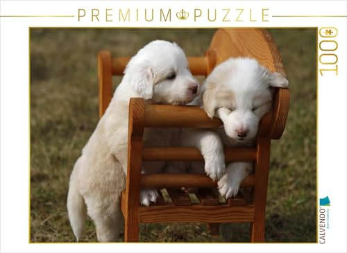 CALVENDO Puzzle Border Collie Welpen | 1000 Teile Lege-Größe 64 x 48 cm Foto-Puzzle für glückliche Stunden