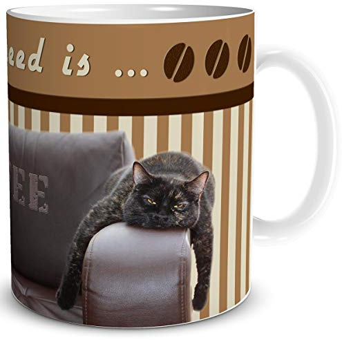 TRIOSK Tasse Katze lustig mit Kaffee Spruch All You Need is Coffee Katzenmotiv Geschenk für Katzenliebhaber Frauen Freundin, Keramik 300ml
