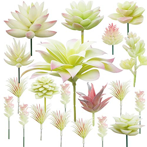 Cayway 20 PCS Artificielles Plantes Succulentes Crémeux et Rose Faux Fleur Succulentes Artificielles Petit Plantes Succulentes Artificielles Décoration pour La Maison Jardin Intérieur Décoration