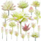 Cayway 20 Pz Suculentas Falsas Suculentas Plantas Artificiales, Cremoso Artificiales Surtidas Suculentas Faux Suculentas para Decoración del Hogar, Decoración de Pared, Jardín, Bricolaje