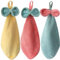 Roellgs Lot de 3 serviettes de cuisine et de salle de bain en microfibre polaire corail - Séchez vos mains immédiatement (couleurs claires)
