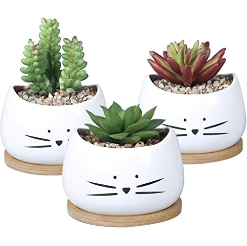 Lot De 3 Petits Pots De Fleurs Au Design Mignon De Chat Blanc | Cache-Pot Cactus | Jardinière Balcon | Idée-Cadeau Original, Anniversaire | Plantes Kawai | Décoration Intérieur et Extérieur