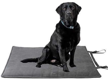 Made in Germany Outdoor Hundedecke, robuste & wasserfeste Reise-Hundedecke I waschbar bei 40° - mit 3 cm Vlies-Füllung (Cord Anthrazit, 85x120 cm)